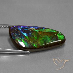 amolita Multicolor natural de 16.76 ct, Elegante, Opaco