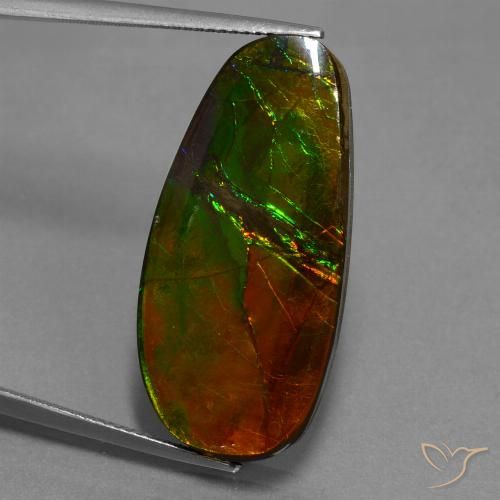 21.63ct Natural Multicolor amolita, Elegante, Opaco
