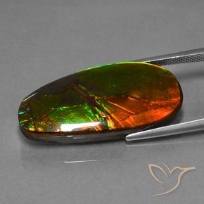 amolita Multicolor natural de 21.63 ct, Elegante, Opaco