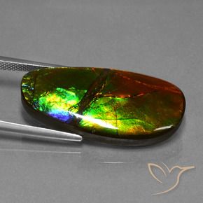 amolita Multicolor natural de 21.63 ct, Elegante, Opaco