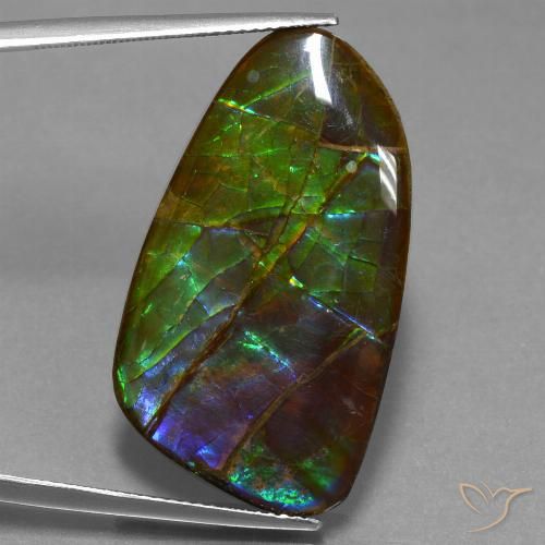 23.16ct Natural Multicolor amolita, Elegante, Opaco