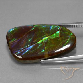 amolita Multicolor natural de 23.16 ct, Elegante, Opaco