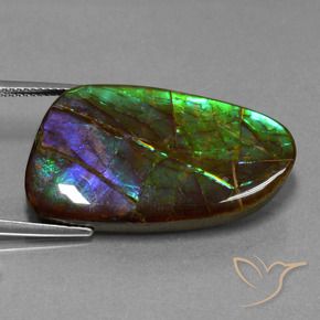 amolita Multicolor natural de 23.16 ct, Elegante, Opaco