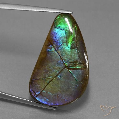 20.44ct Natural Multicolor amolita, Elegante, Opaco
