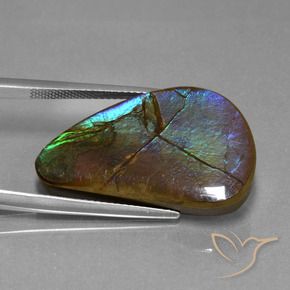 amolita Multicolor natural de 20.44 ct, Elegante, Opaco
