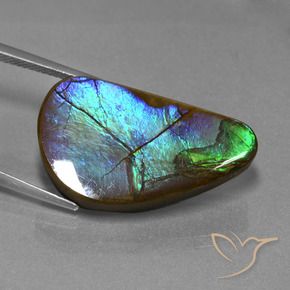 amolita Multicolor natural de 20.44 ct, Elegante, Opaco