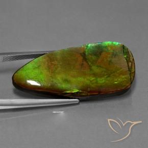 amolita Multicolor natural de 24.28 ct, Elegante, Opaco