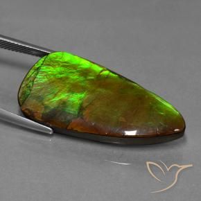 amolita Multicolor natural de 24.28 ct, Elegante, Opaco
