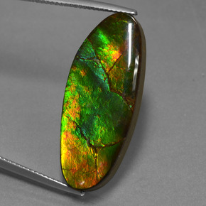 Ammolita multicolor natural de 17,75 ct, forma elegante, opaco