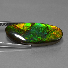 Ammolita multicolor natural de 17,75 ct, forma elegante, opaco