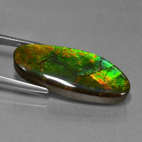 Ammolita multicolor natural de 17,75 ct, forma elegante, opaco
