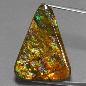Ammolita multicolor natural de 23,76 ct, trillón, opaco