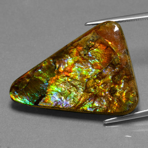 Ammolita multicolor natural de 23,76 ct, trillón, opaco