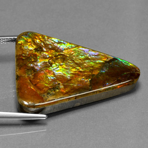 Ammolita multicolor natural de 23,76 ct, trillón, opaco