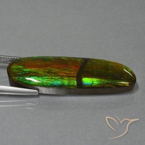 amolita Multicolor natural de 23.33 ct, Elegante, Opaco