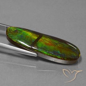 amolita Multicolor natural de 23.33 ct, Elegante, Opaco