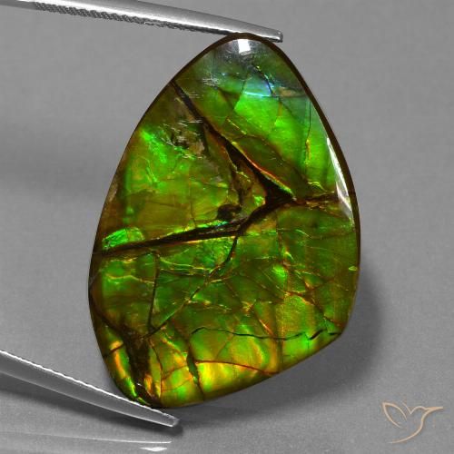 24.51ct Natural Multicolor amolita, Elegante, Opaco