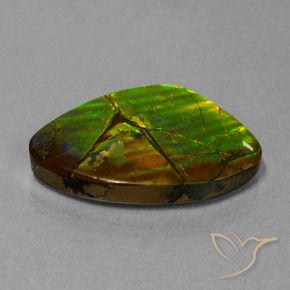 amolita Multicolor natural de 24.51 ct, Elegante, Opaco