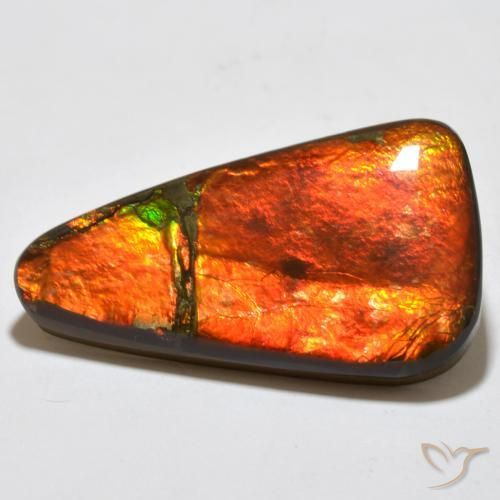 amolita Multicolor natural de 23.02 ct, Elegante, Opaco