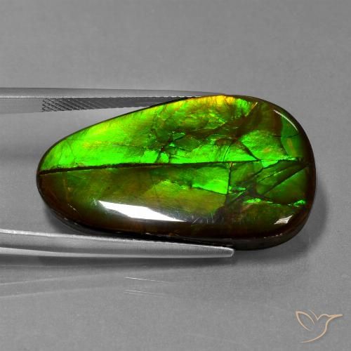 21.60ct Natural Multicolor amolita, Elegante, Opaco