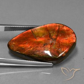 amolita Multicolor natural de 23.21 ct, Elegante, Opaco