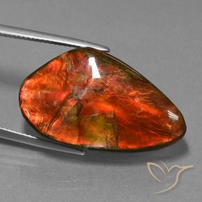 amolita Multicolor natural de 23.21 ct, Elegante, Opaco