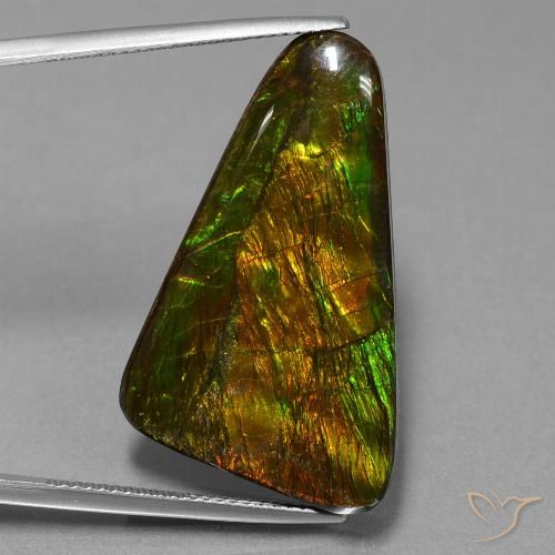 23.06ct Natural Multicolor amolita, Elegante, Opaco