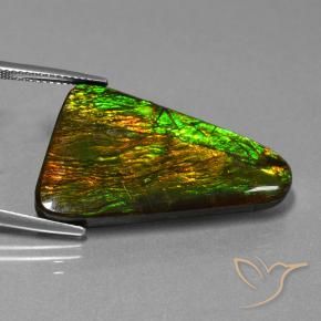 amolita Multicolor natural de 23.06 ct, Elegante, Opaco