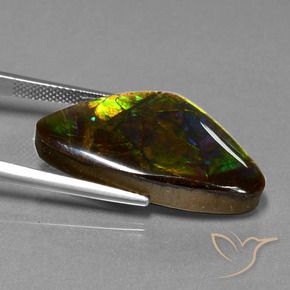 amolita Multicolor natural de 18.77 ct, Elegante, Opaco