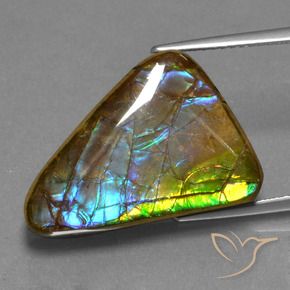 amolita Multicolor natural de 13.18 ct, Trillón, Opaco