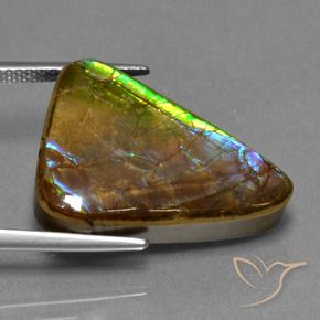 amolita Multicolor natural de 13.18 ct, Trillón, Opaco