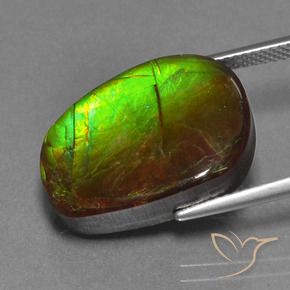 amolita Multicolor natural de 14.13 ct, Elegante, Opaco