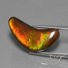 amolita Multicolor natural de 12.08 ct, Elegante, Opaco