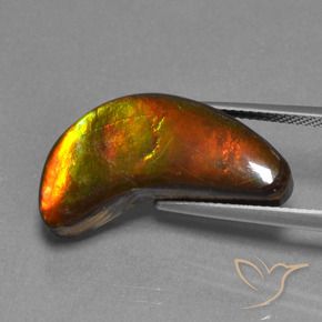 amolita Multicolor natural de 12.08 ct, Elegante, Opaco