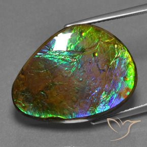 amolita Multicolor natural de 17.46 ct, Elegante, Opaco