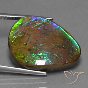 amolita Multicolor natural de 17.46 ct, Elegante, Opaco