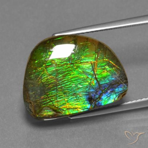 12.44ct Natural Multicolor amolita, Elegante, Opaco