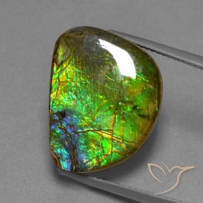 amolita Multicolor natural de 12.44 ct, Elegante, Opaco