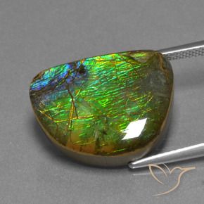 amolita Multicolor natural de 12.44 ct, Elegante, Opaco
