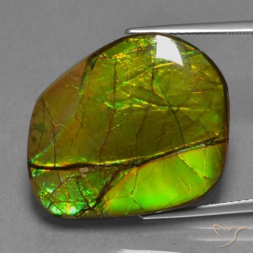21.26ct Natural Multicolor amolita, Elegante, Opaco