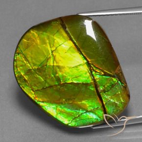 amolita Multicolor natural de 21.26 ct, Elegante, Opaco
