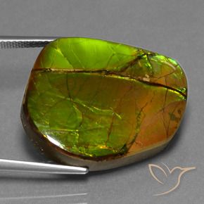 amolita Multicolor natural de 21.26 ct, Elegante, Opaco