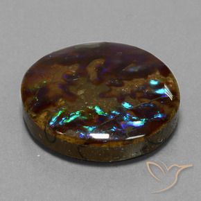 amolita Multicolor natural de 27.20 ct, Redondo, Opaco