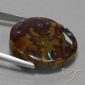 amolita Multicolor natural de 27.20 ct, Redondo, Opaco