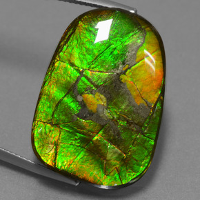 Ammolita multicolor natural de 24,20 ct, forma elegante, opaco