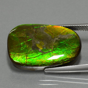 Ammolita multicolor natural de 24,20 ct, forma elegante, opaco