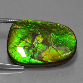 Ammolita multicolor natural de 24,20 ct, forma elegante, opaco