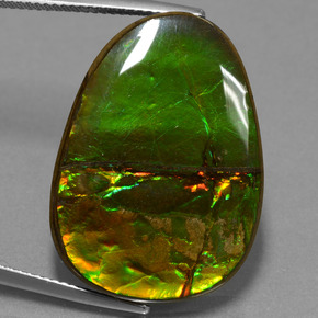 Ammolita multicolor natural de 24,70 ct, forma elegante, opaco