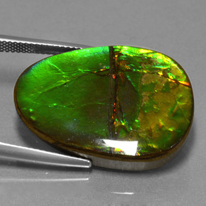 Ammolita multicolor natural de 24,70 ct, forma elegante, opaco