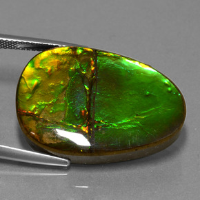 Ammolita multicolor natural de 24,70 ct, forma elegante, opaco